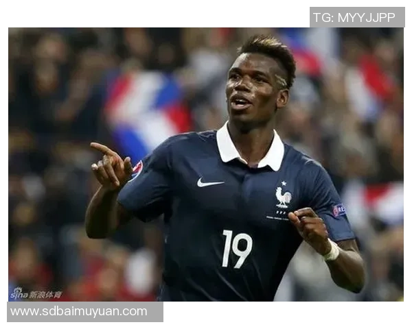 法国现役黑人足球明星的辉煌成就与影响力解析